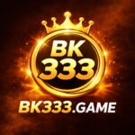 bk333