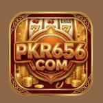 pkr656