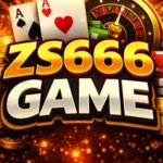 zs666 game