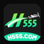 h555 game