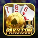 pak3 game